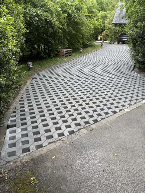 Allée en pavés alvéolés