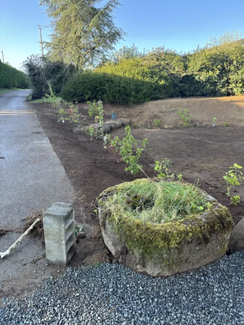 Aménagement d’une bordure plantée